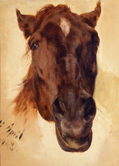 Lófej alkotó: Adolph Menzel