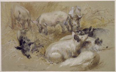 Disznók a gabonaföldön alkotó: Adolph Menzel