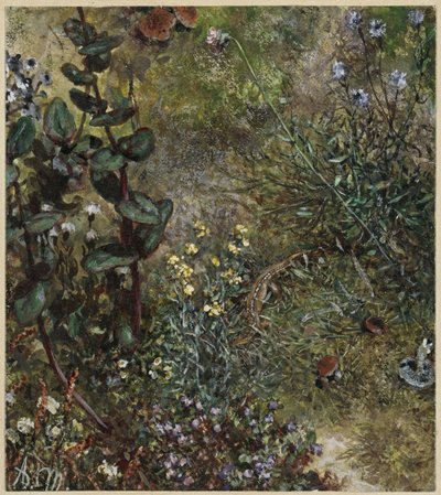 Erdei talaj gyíkkal. A „Gyermekalbumból” alkotó: Adolph Menzel