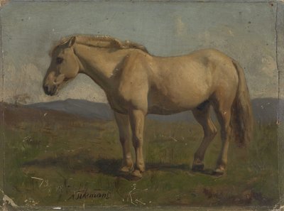 Egy fakó ló alkotó: Adolph Tidemand