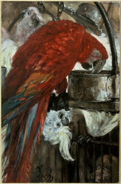 Ara und Kakadu alkotó: Adolph Menzel