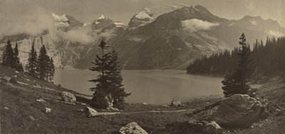 [Alpesi táj] alkotó: Adolphe Braun