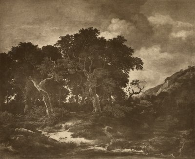 Ruysdael tájképe alkotó: Adolphe Braun