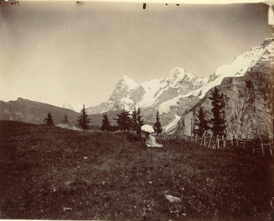 Táj, Svájc, c. 1860. alkotó: Adolphe Braun