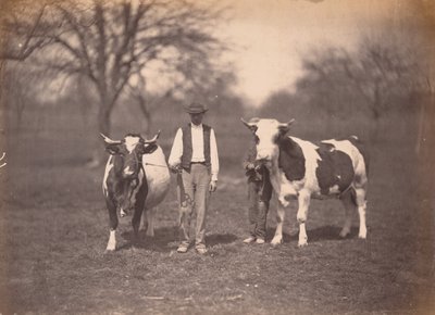 Landscape,c. 1864 (fotó) alkotó: Adolphe Braun