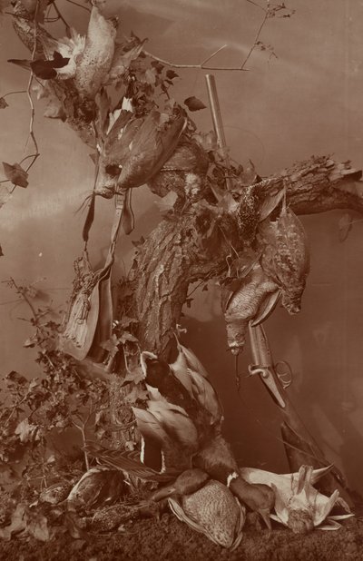 [Still Life: Dead Game] alkotó: Adolphe Braun
