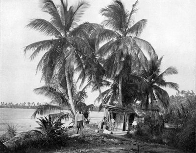 A Blue Hole felé vezető úton, Port Antonio, Jamaica, c1905. alkotó: Adolphe Duperly and Son