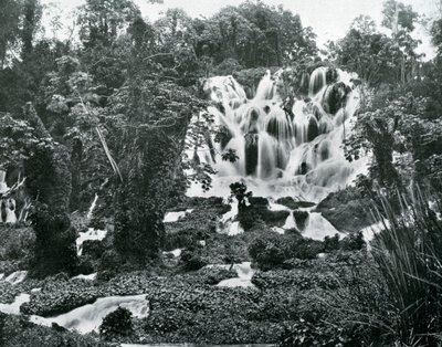 Roaring River Falls, Jamaica, 1905. alkotó: Adolphe Duperly and Son