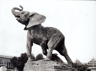 Emmanuel Fremiet (1824-1910) a fiatal elefántot csapdába ejtette (1878) a Trocadero-palota előtt, amelyet az egyetemes kiállításra építettek (1878), Párizs, 1888 alkotó: Adolphe Giraudon