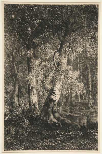 A bükkösök alkotó: Adolphe Martial Potemont
