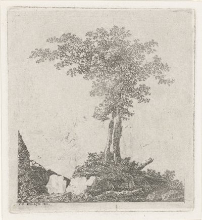 Két fa alkotó: Adriaan Jacob Willem van Dielen