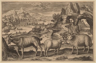  alkotó: Adriaen Collaert