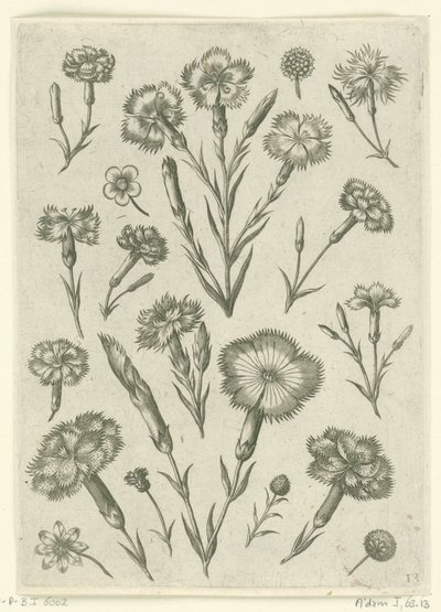 Különféle haragok Florilegium (sorozat címe) alkotó: Adriaen Collaert