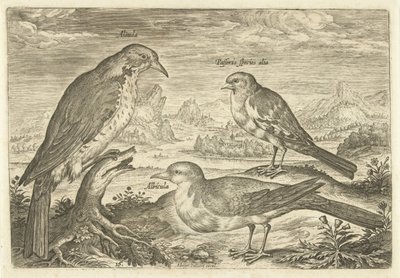 Három madár a tájban Avium Vivae (sorozat címe) Madarak (sorozat címe) alkotó: Adriaen Collaert