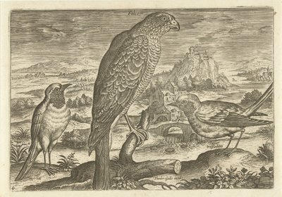 Néhány madár a tájban Madarak (sorozat címe) Avivm vivae (sorozat címe) alkotó: Adriaen Collaert