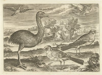 Néhány madár a tájban Madarak (sorozat címe) Avium vivae (sorozat címe) alkotó: Adriaen Collaert