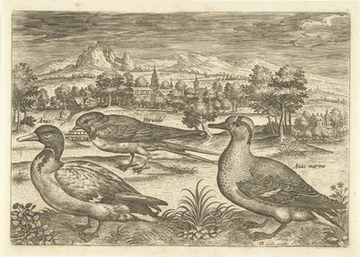 Enkele vogels in een landschap Vogels (series title) Avivm vivae (series title)   1371050   hu       hungarian Successfully Translated  Original: Saint Jean Baptiste. Peinture baroque de Michelangelo Merisi detto il Caravaggio (Le Caravage) Translat: Saint alkotó: Adriaen Collaert