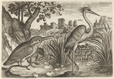  alkotó: Adriaen Collaert