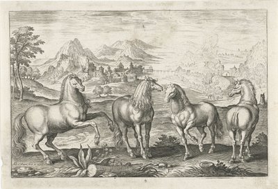 Lovak Négylábú állatok (sorozat címe) Animalivm Qvaddrvpedvm (sorozat címe) alkotó: Adriaen Collaert