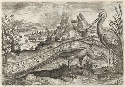  alkotó: Adriaen Collaert