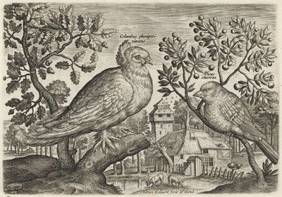  alkotó: Adriaen Collaert
