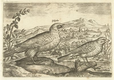 Két madár a tájban Avium Vivae (sorozat címe) Madarak (sorozat címe) alkotó: Adriaen Collaert
