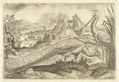 Két madár a tájban Avium Vivae (sorozat címe) Madarak (sorozat címe) alkotó: Adriaen Collaert