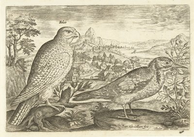 Két madár a tájban Avium Vivae (sorozat címe) Madarak (sorozat címe) alkotó: Adriaen Collaert