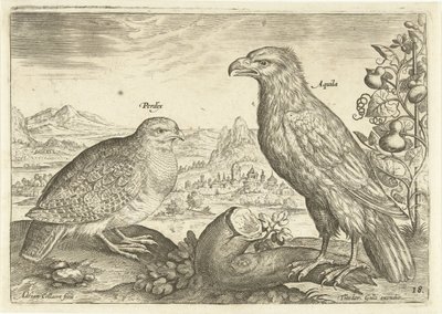 Két madár a tájban Avium Vivae (sorozat címe) Madarak (sorozat címe) alkotó: Adriaen Collaert