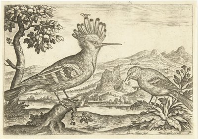 Két madár a tájban Madarak (sorozat címe) Avium Vivae (sorozat címe) alkotó: Adriaen Collaert
