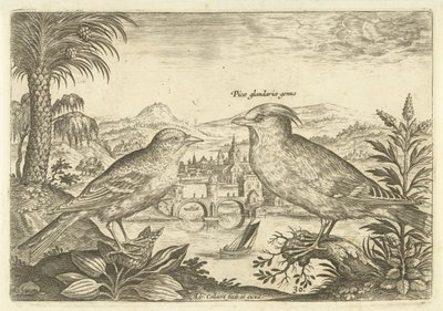Két madár a tájban Madarak (sorozat címe) Avium Vivae (sorozat címe) alkotó: Adriaen Collaert