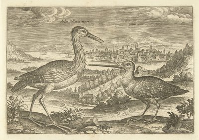 Két madár a tájban Madarak (sorozat címe) Avium vivae (sorozat címe) alkotó: Adriaen Collaert