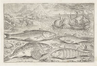 Vier vissen op het strand Vissen (series title) Piscivm vivae icones (series title)   1369864   hu       hungarian Successfully Translated  Original: Loading the Canon, plate eleven from The Military Exercises Translat: Loading the Canon, plate eleven from alkotó: Adriaen Collaert