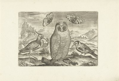 Madarak és pillangók a tájon Madarak (sorozat címe) Avium vivae (sorozat címe) alkotó: Adriaen Collaert