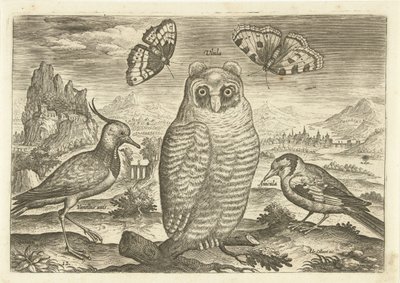 Madarak és pillangók a tájon Madarak (sorozat címe) Avium vivae (sorozat címe) alkotó: Adriaen Collaert