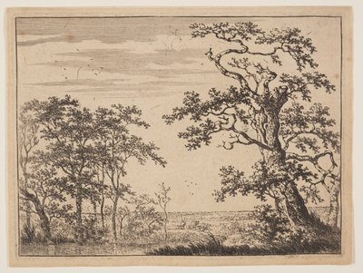 A tó alkotó: Adriaen Hendricksz. Verboom