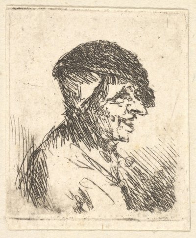 Parasztfő, 17. század. alkotó: Adriaen Jansz. van Ostade