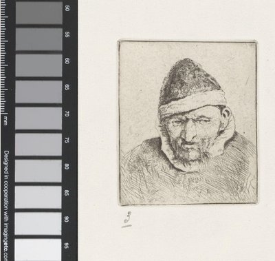 Egy öreg farmer mellszobra hegyes kalappal alkotó: Adriaen van Ostade