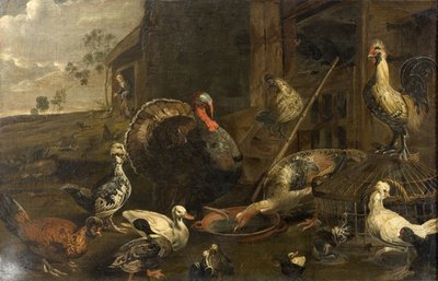 Tyúkok, kacsák és egy pulykakakas alkotó: Adriaen van Utrecht