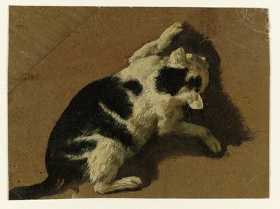 Macska játszik a fal közelében alkotó: Adriaen van de Velde (attributed to)