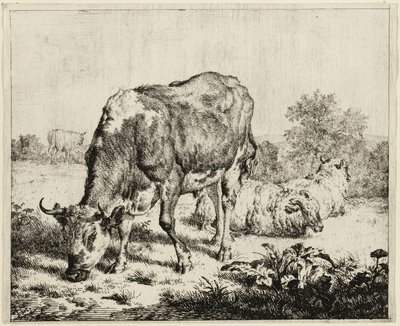 Egy tehén és három birka alkotó: Adriaen van de Velde