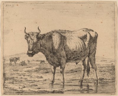 Bika állt a vízben alkotó: Adriaen van de Velde