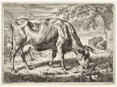 Legelő tehén és két birka Tehenek és juhok (sorozat címe) alkotó: Adriaen van de Velde