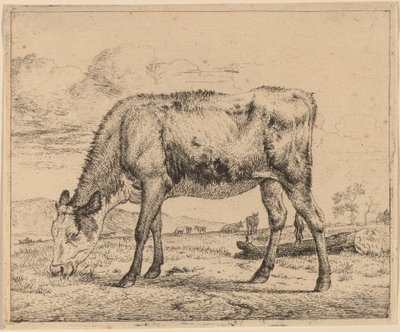 Legelő borjú alkotó: Adriaen van de Velde