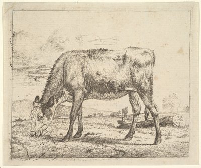 Legelő borjú, a különböző állatokból, 1658. alkotó: Adriaen van de Velde