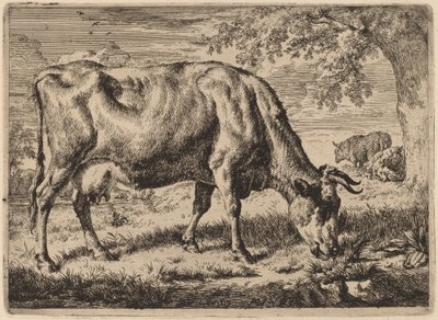 Legelő tehén két birkával alkotó: Adriaen van de Velde