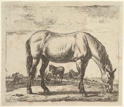 Legelő ló, különböző állatokból. alkotó: Adriaen van de Velde