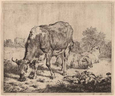 Foltos bika és három bárány alkotó: Adriaen van de Velde