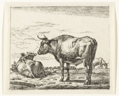 álló bika Különböző állatok (sorozat címe) alkotó: Adriaen van de Velde