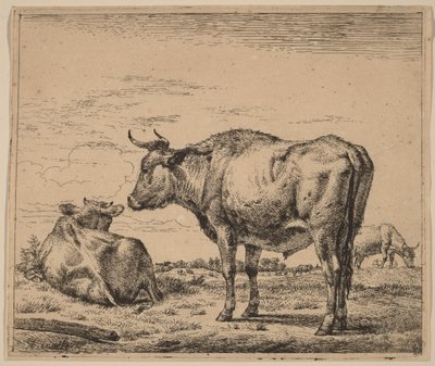 Álló bika alkotó: Adriaen van de Velde